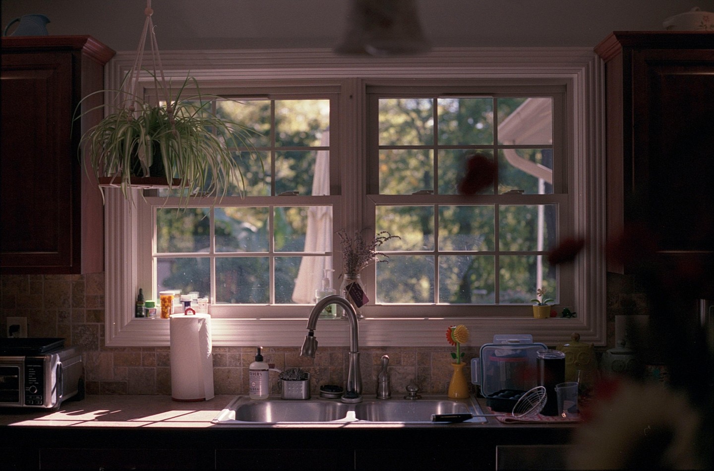 Sunlight streams through a kitchen window, illuminating a sink, counter, and hanging plant.