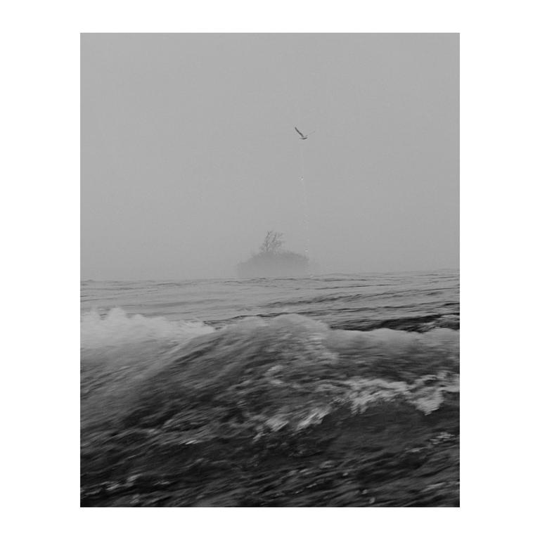 A bird flies over a body of water with an island in the distance on a hazy day.