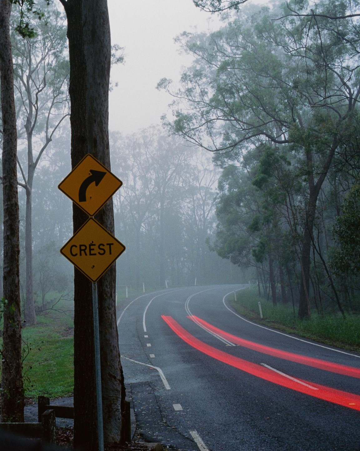 A winding road with red light trails from a vehicle is surrounded by trees and fog.