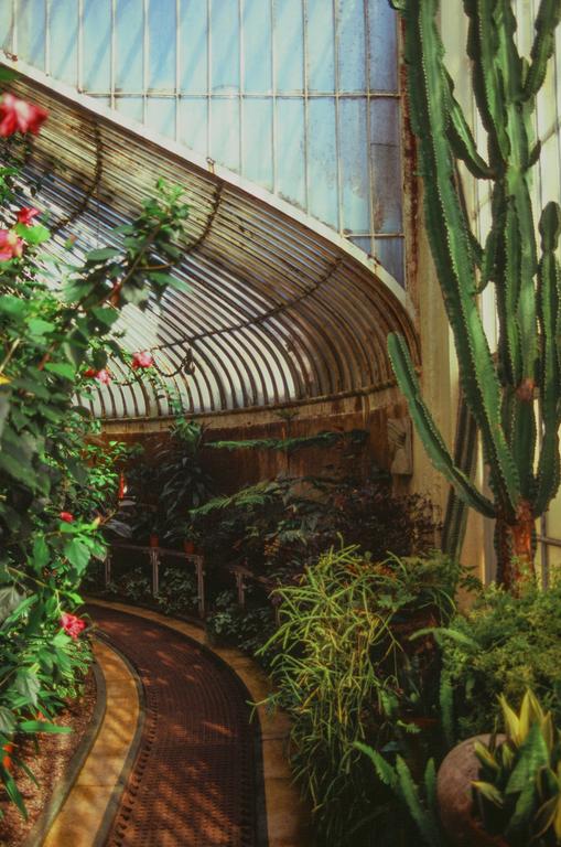 A curved path leads through a botanical garden with various plants and a glass ceiling.
