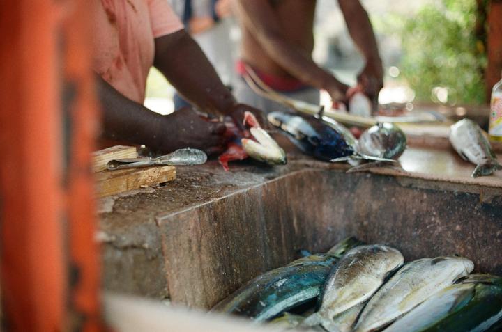 A person cleans fish on a stone surface, with several other fish visible in the foreground and background.