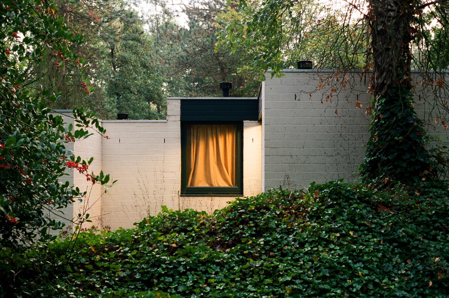 A window with orange curtains is visible on a building surrounded by green foliage and trees.