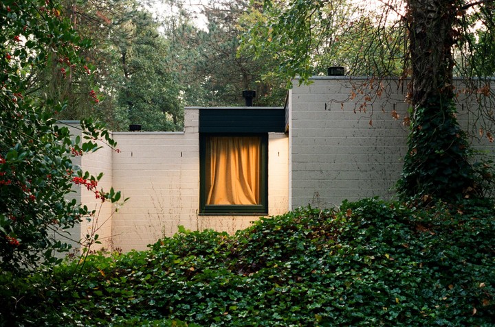 A window with orange curtains is visible on a building surrounded by green foliage and trees.