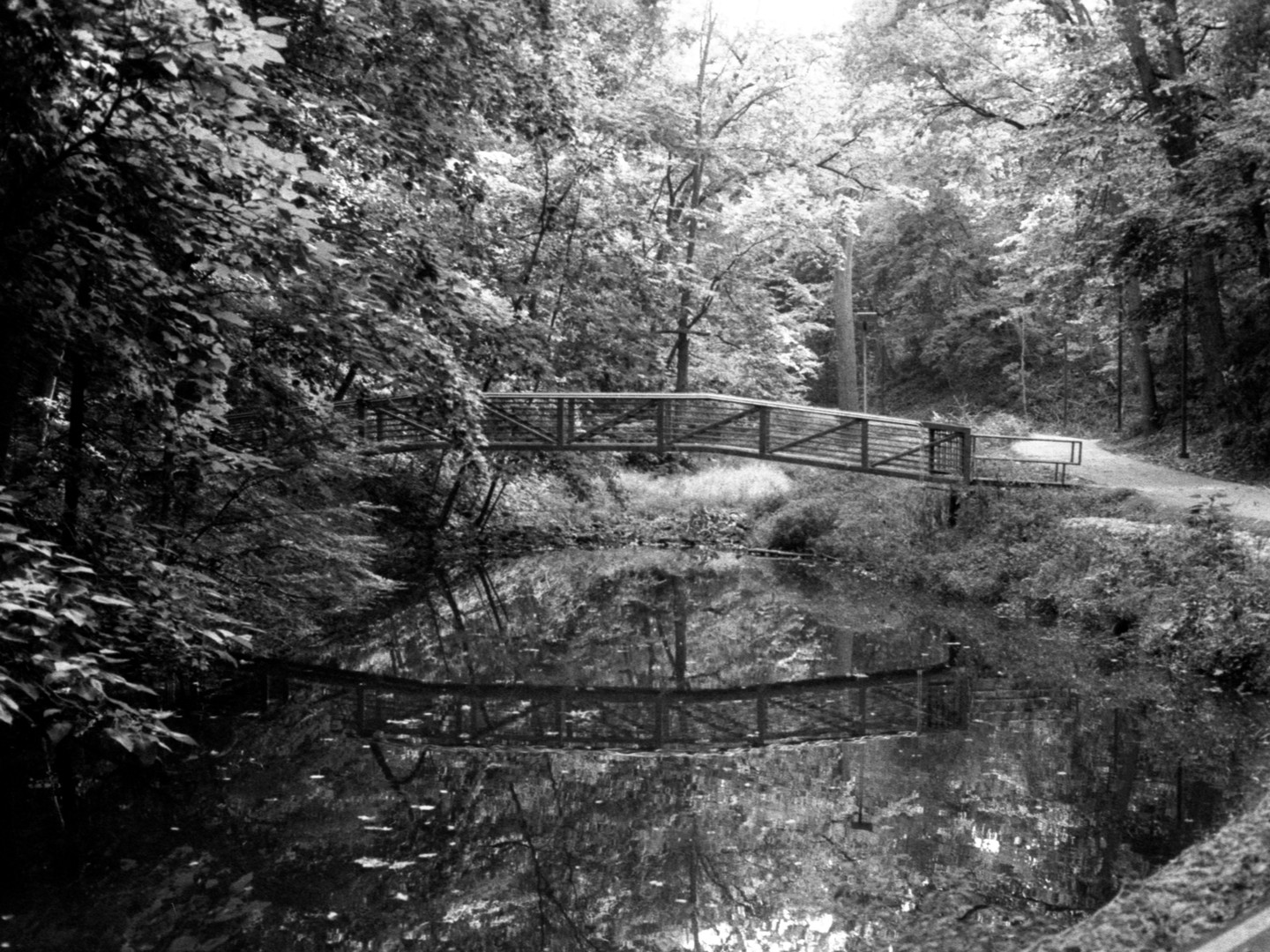 A wooden bridge crosses over a body of water, reflecting in the surface, surrounded by dense foliage.