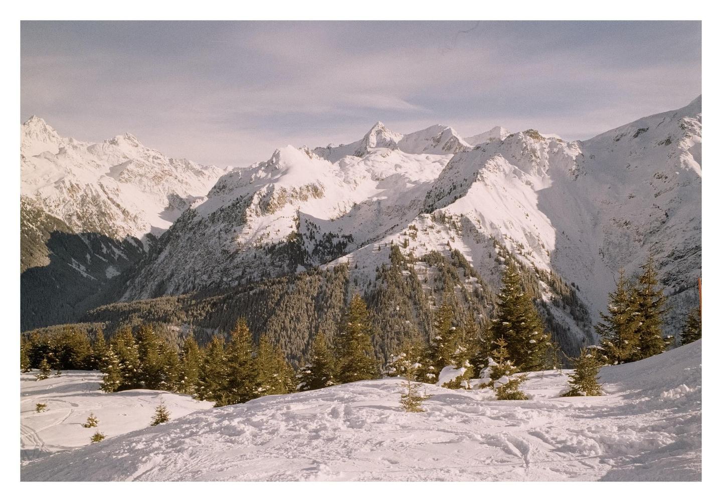 A snowy mountain range with evergreen trees in the foreground is visible under a clear sky.