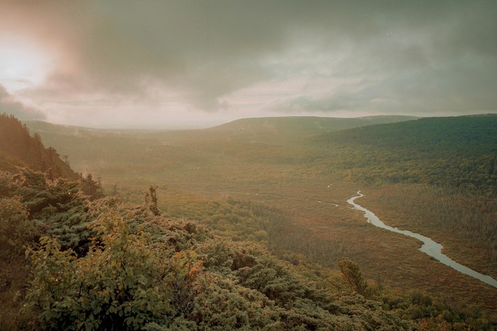A winding river flows through a vast forest under a hazy sky.