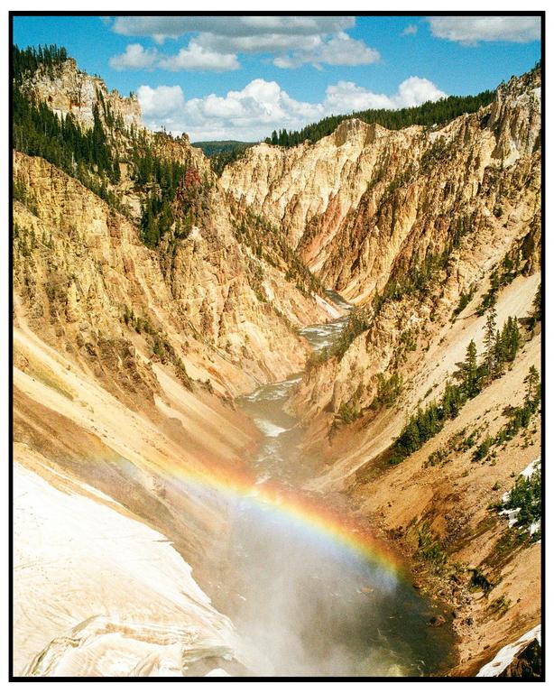 A rainbow appears over a river flowing through a deep canyon with steep, rocky walls and scattered pine trees.