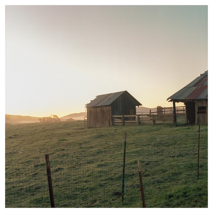 Two rustic barns stand in a grassy field with a hazy sunrise in the background.
