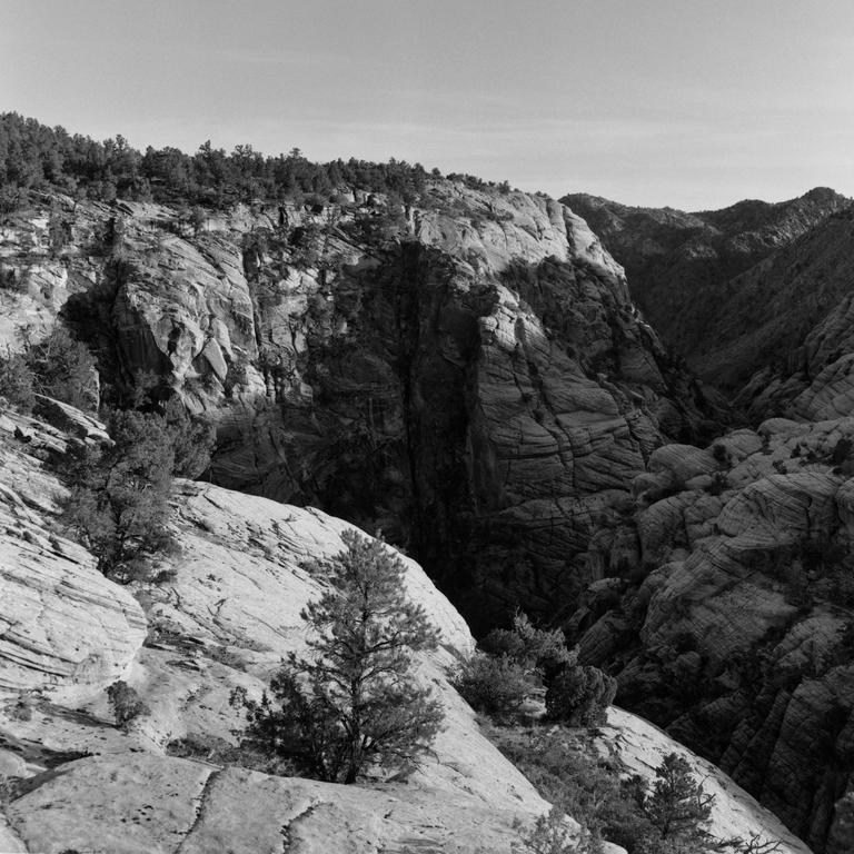 A black and white landscape shows a canyon with trees on the rocky slopes.