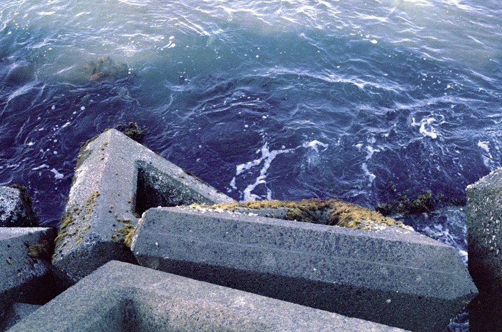 Concrete tetrapods covered in moss and seaweed line the edge of a body of water with small waves.
