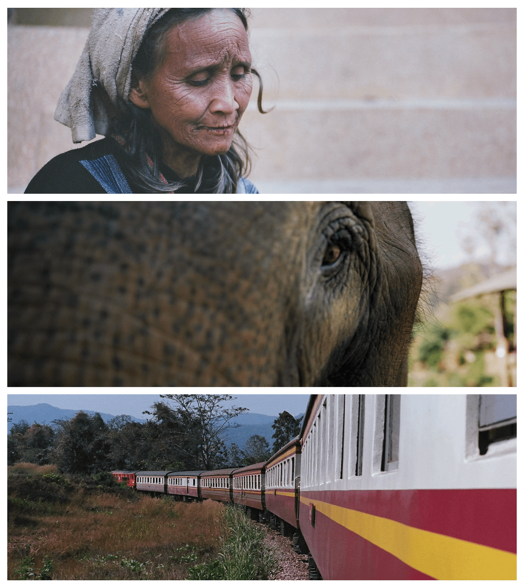 Three images are presented in a grid, showing a woman, an elephant's eye, and a train.