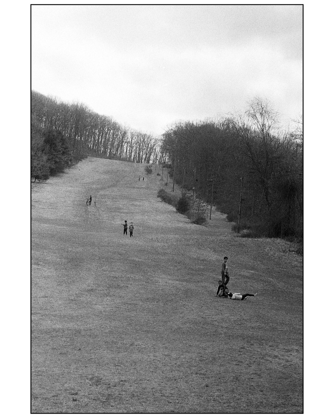 Several people are scattered across a grassy hill with trees lining both sides under an overcast sky.