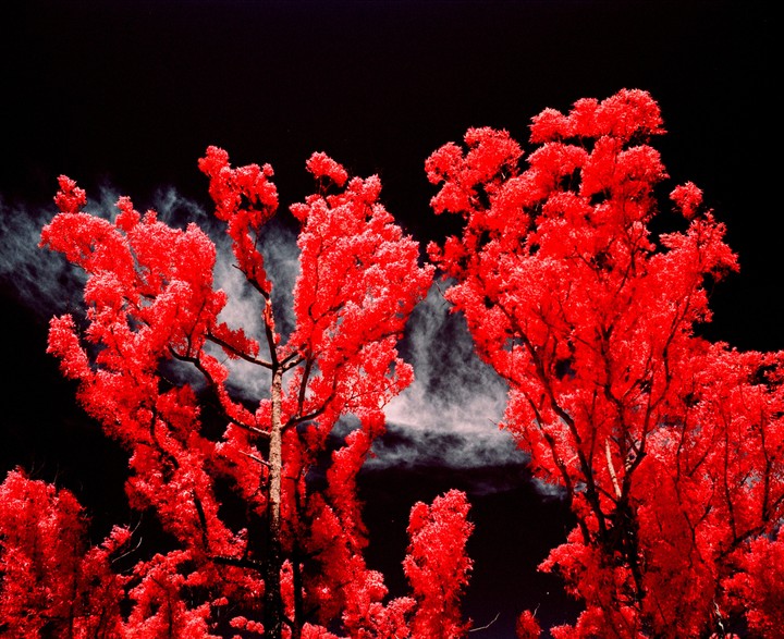 Bright red trees are visible against a dark sky with wispy clouds.