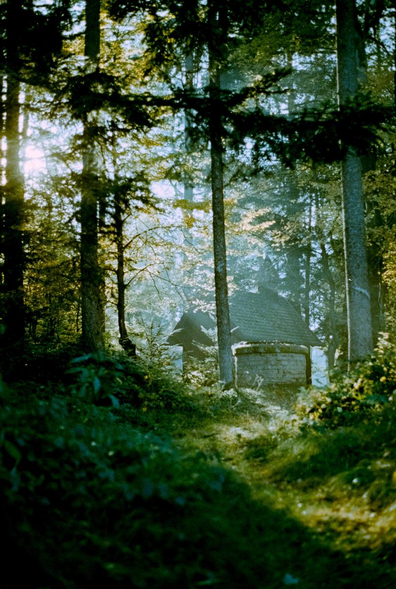 A small stone building with a conical roof is nestled among tall trees in a forest.