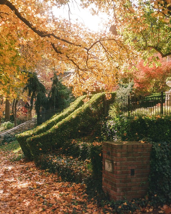 A brick pillar with the number 36 is surrounded by ivy and fallen autumn leaves, with a manicured hedge and fence behind it.
