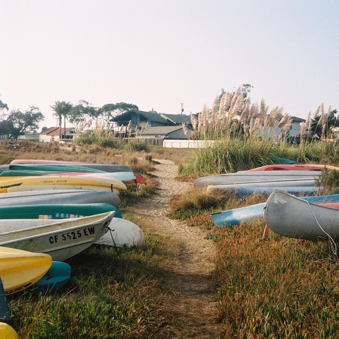 A sandy path leads between rows of colorful kayaks and canoes stored on grassy ground near houses and tall reeds.