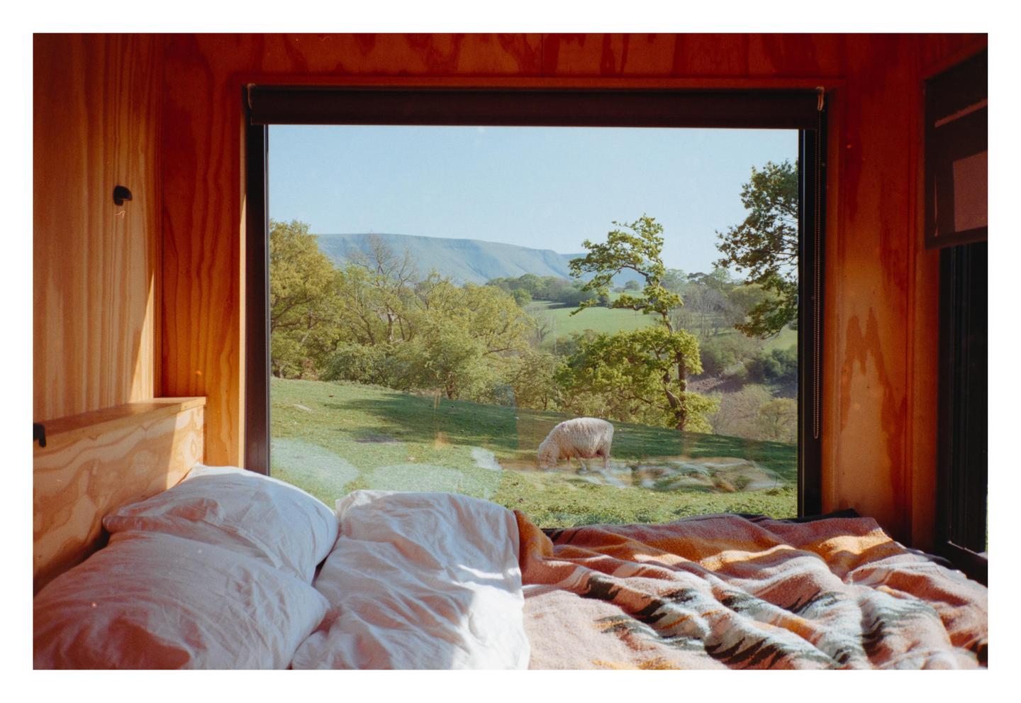A sheep grazes in a green field visible through a large window next to a bed with white bedding and a patterned blanket.