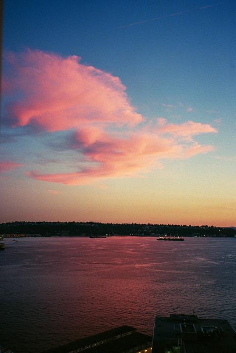Pink clouds hang over a body of water with a distant tree-lined shore and boats.