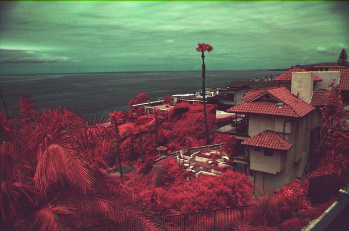A hillside with red foliage and houses with red tile roofs overlooks the ocean under a green sky.