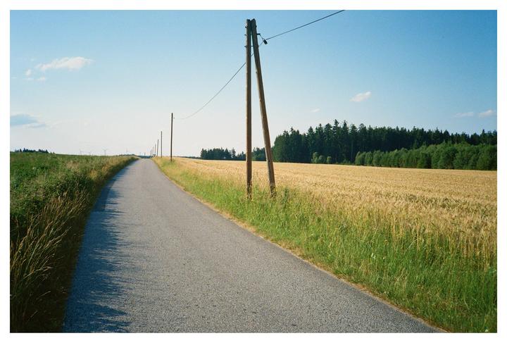 A long, narrow road stretches into the distance, flanked by a golden field of wheat on one side and a green field on the other, with a line of utility poles and a forest in the background.
