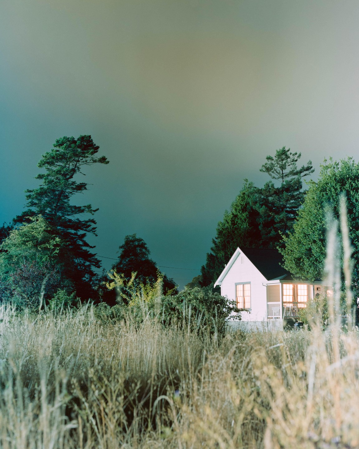 A small white house with illuminated windows is nestled among trees and tall grass under a dark sky.