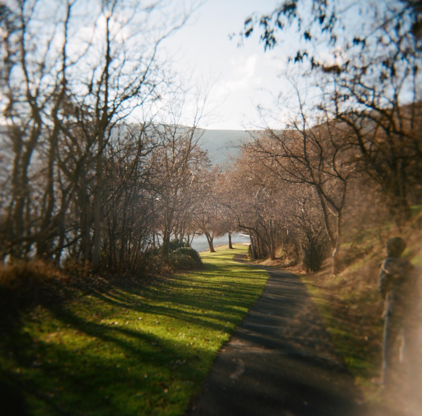 A path leads through a park with bare trees and green grass next to a body of water.