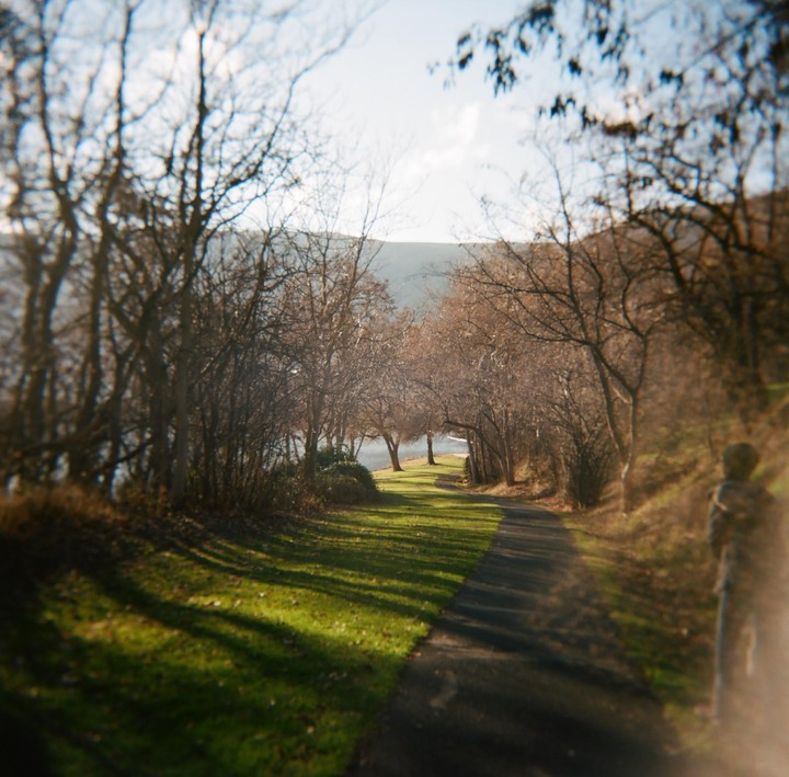 A path leads through a park with bare trees and green grass next to a body of water.