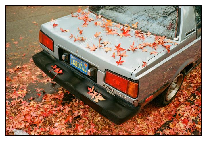 The rear of a silver car is covered in red autumn leaves, with more leaves scattered on the ground around it.