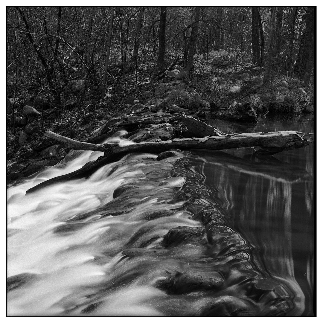 A long exposure captures the movement of water flowing over rocks and around a fallen log in a forest.