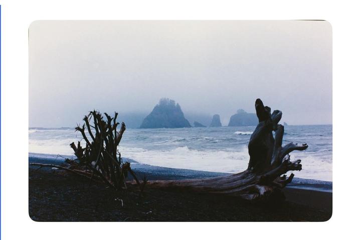 Driftwood lies on a dark sand beach with waves crashing and misty sea stacks in the distance.