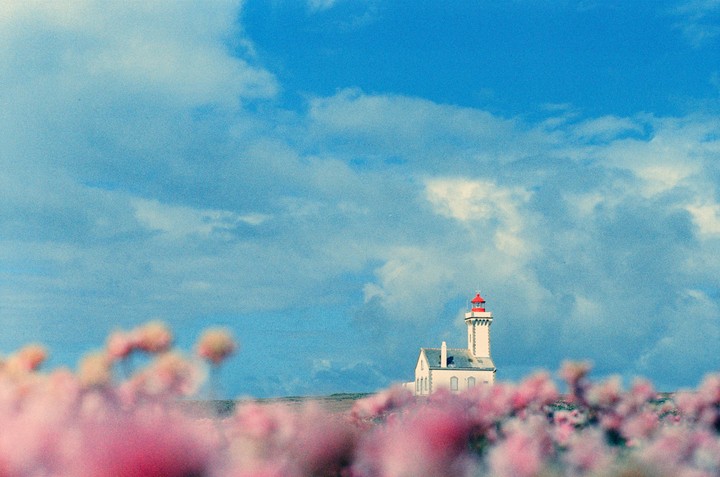 A white lighthouse with a red top stands on a hill behind a field of blurred pink flowers under a blue sky with clouds.
