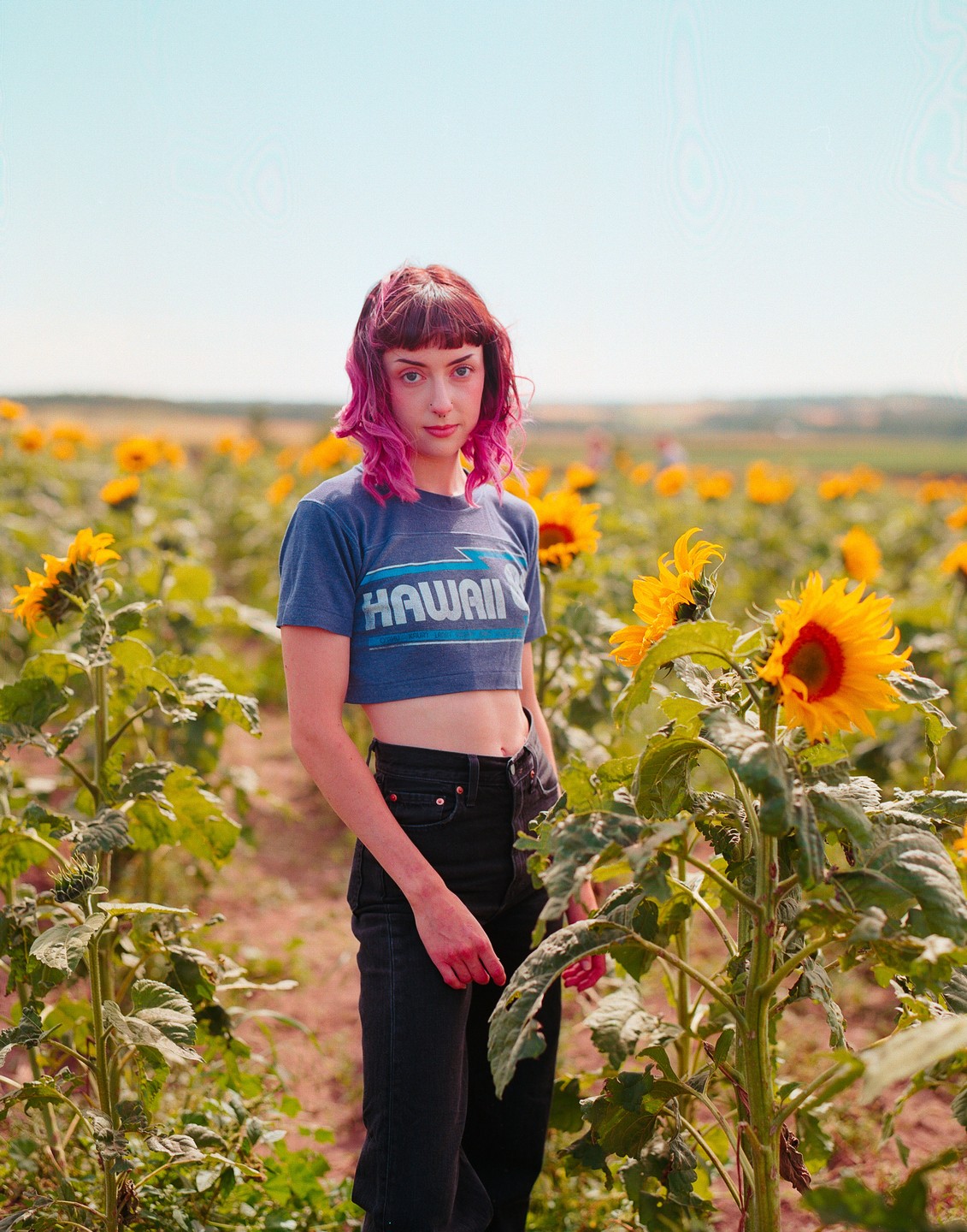 A woman with pink hair stands in a field of sunflowers under a clear sky.