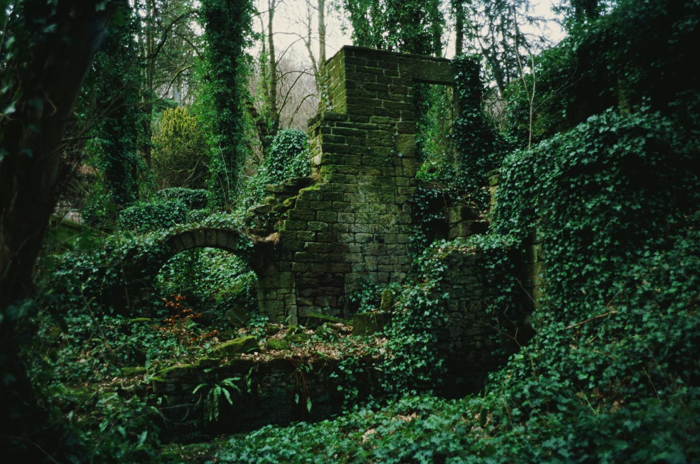 An old stone ruin covered in ivy and moss stands in a forest.