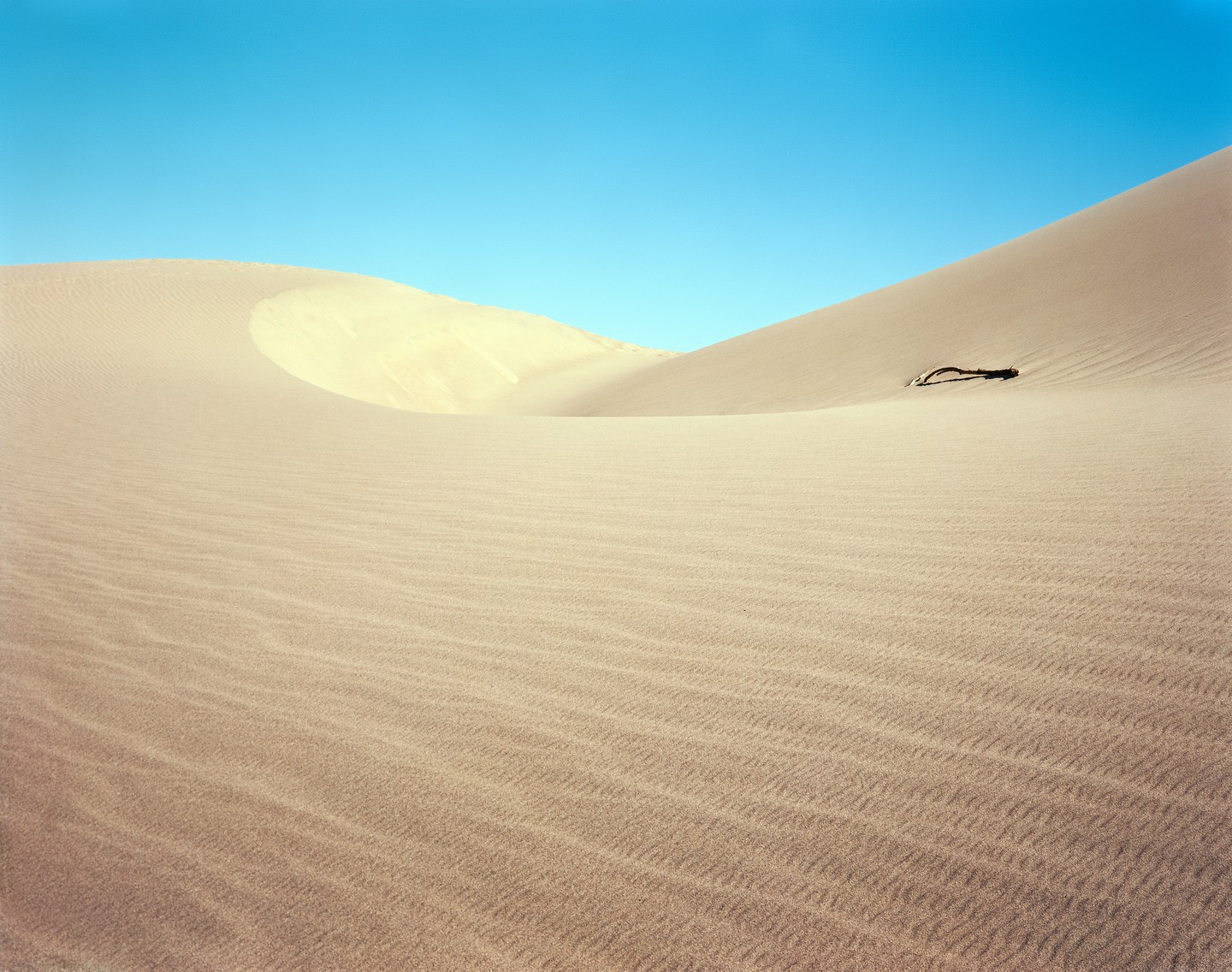 A vast desert landscape features sand dunes under a clear blue sky, with a piece of driftwood resting on one of the dunes.