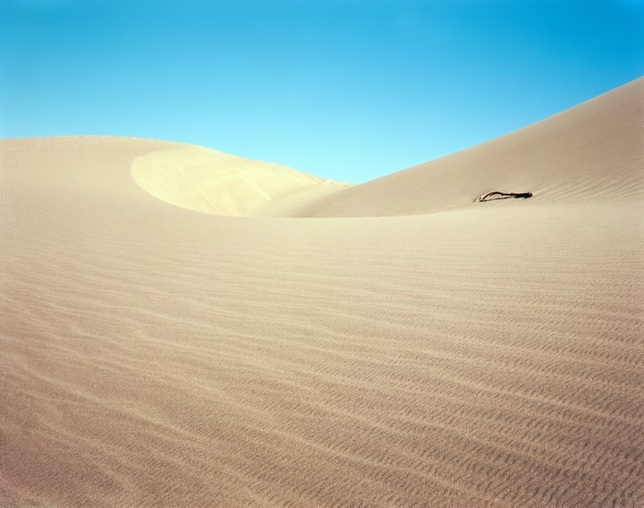 A vast desert landscape features sand dunes under a clear blue sky, with a piece of driftwood resting on one of the dunes.