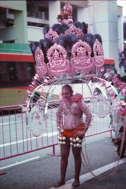 A man stands in the street wearing an elaborate, decorated kavadi with peacock feathers and pink ornaments.