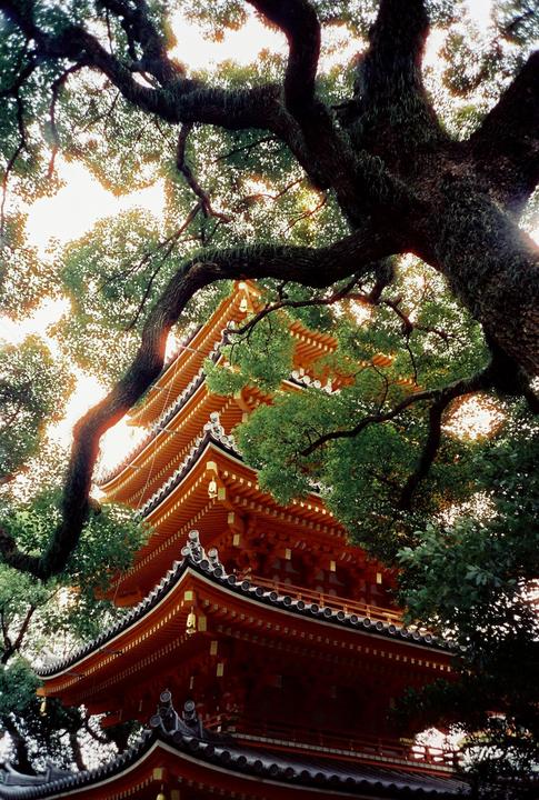 A red pagoda is framed by the branches and leaves of a large tree.
