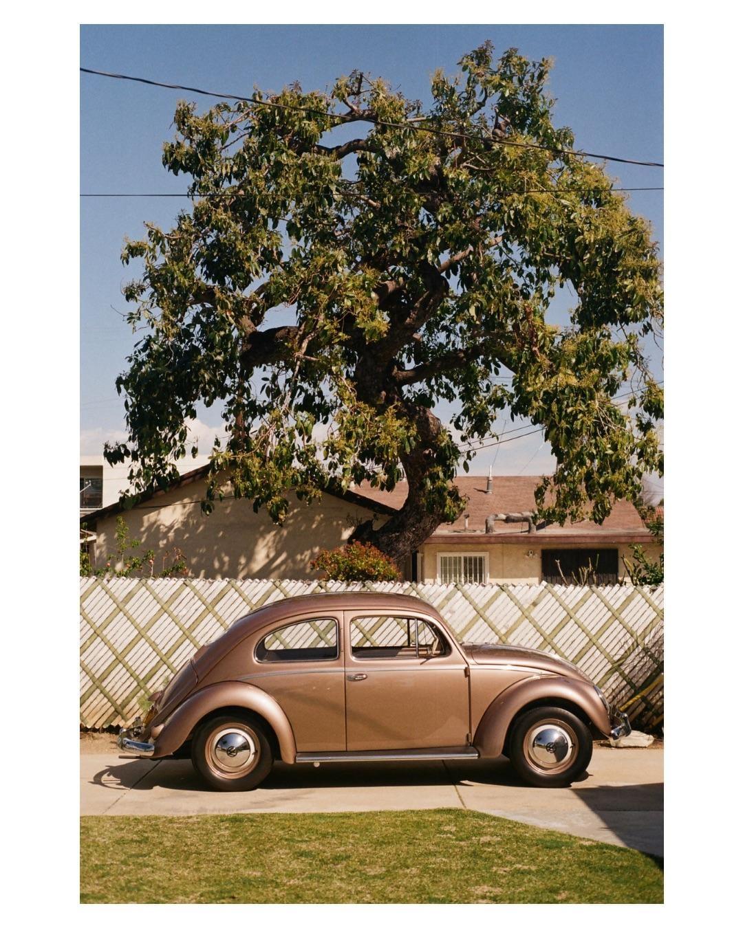 A brown vintage beetle car is parked on a driveway next to a white fence and a large tree.