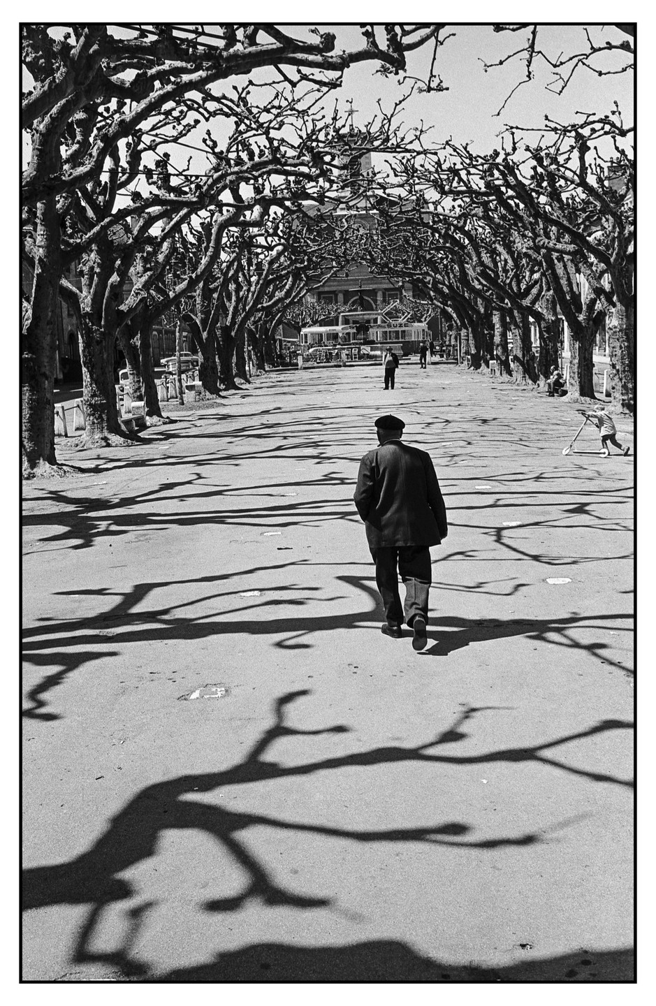 A man walks away from the camera down a tree-lined street with long shadows cast across the pavement.
