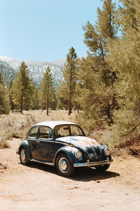 A blue and white Volkswagen Beetle is parked on a dirt road with pine trees and a snow-capped mountain in the background.