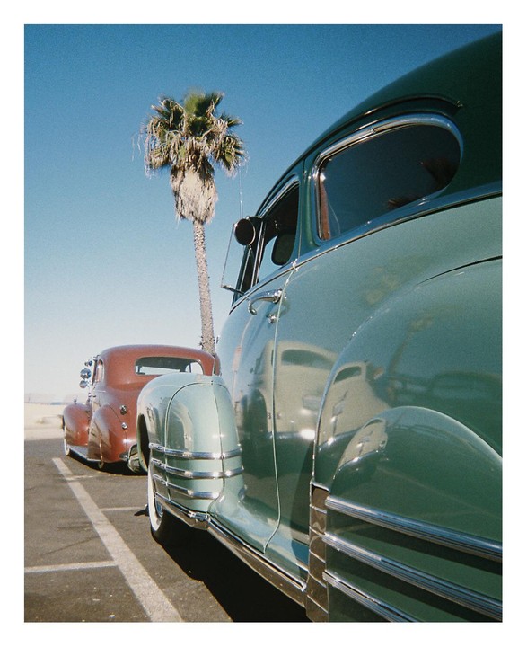 Two vintage cars are parked next to a palm tree under a clear sky.
