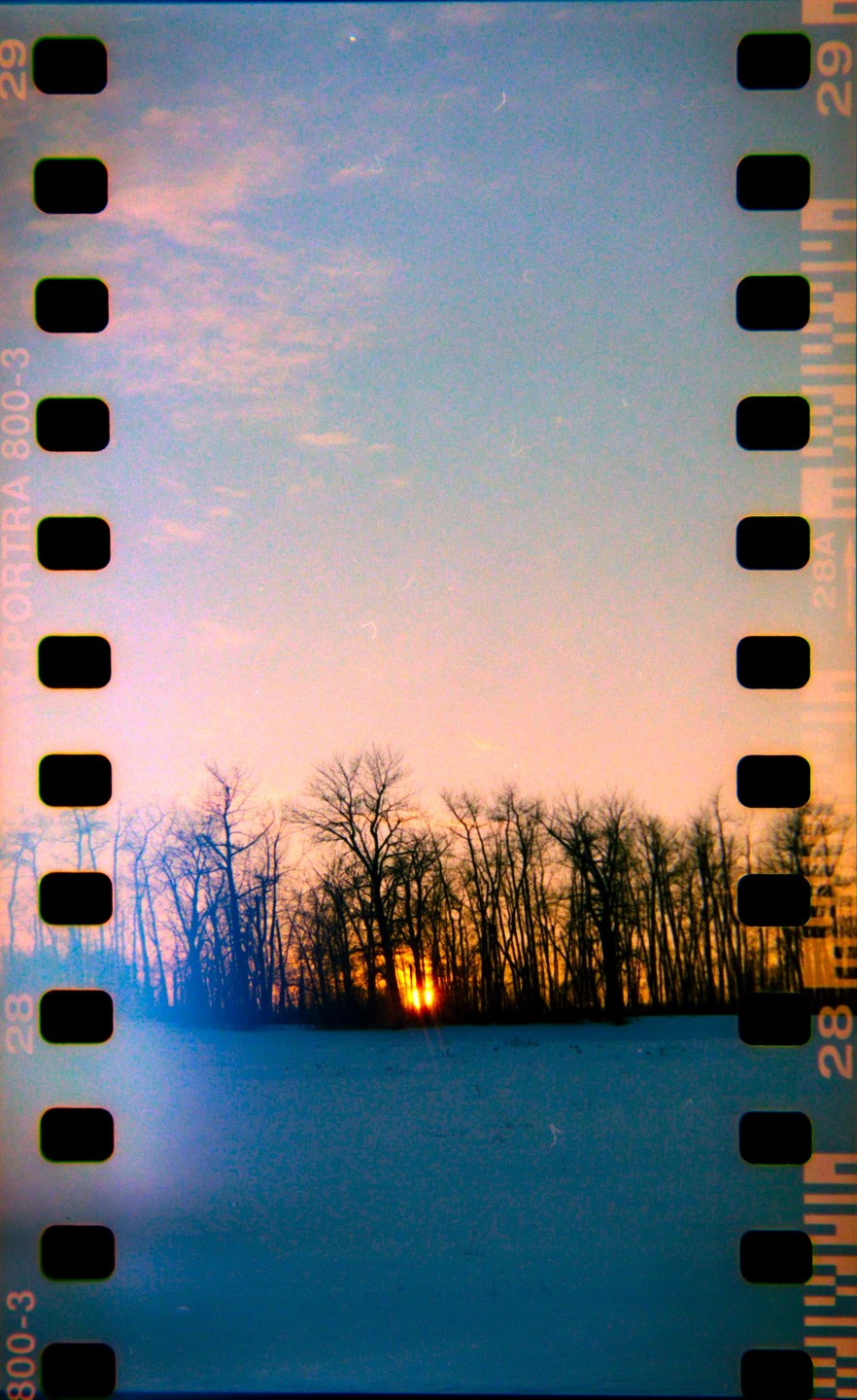 The sun sets behind a line of bare trees, casting a warm glow over a snowy field.