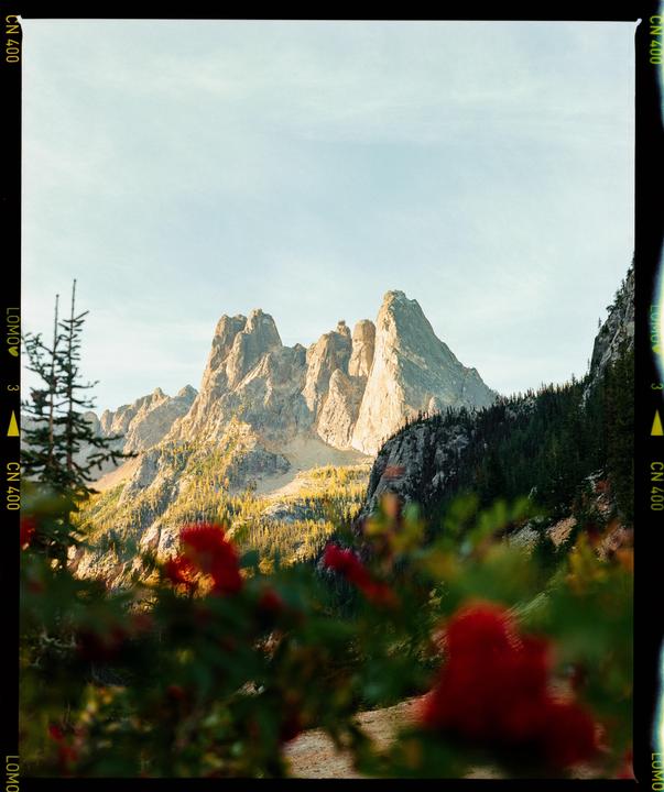 A mountain range with evergreen trees and red foliage in the foreground is illuminated by the sun.