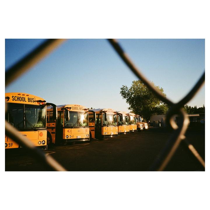 A line of yellow school buses is parked behind a chain link fence.