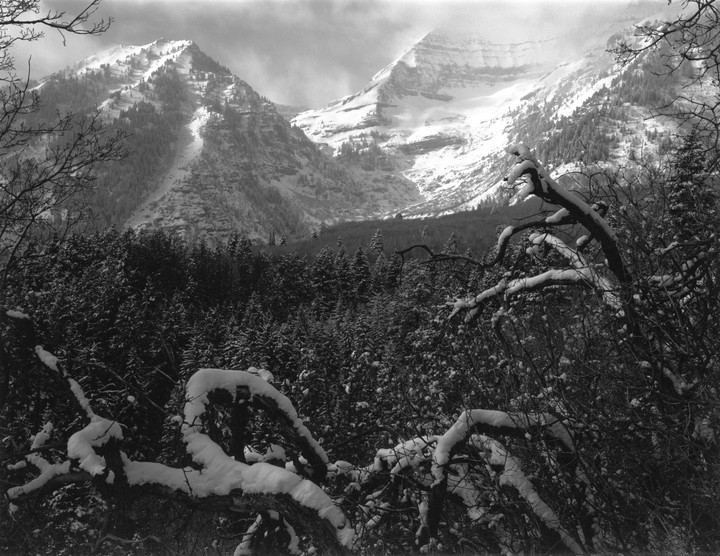 Snow-covered mountains rise above a forest of pine trees, with bare, snow-laden branches in the foreground.