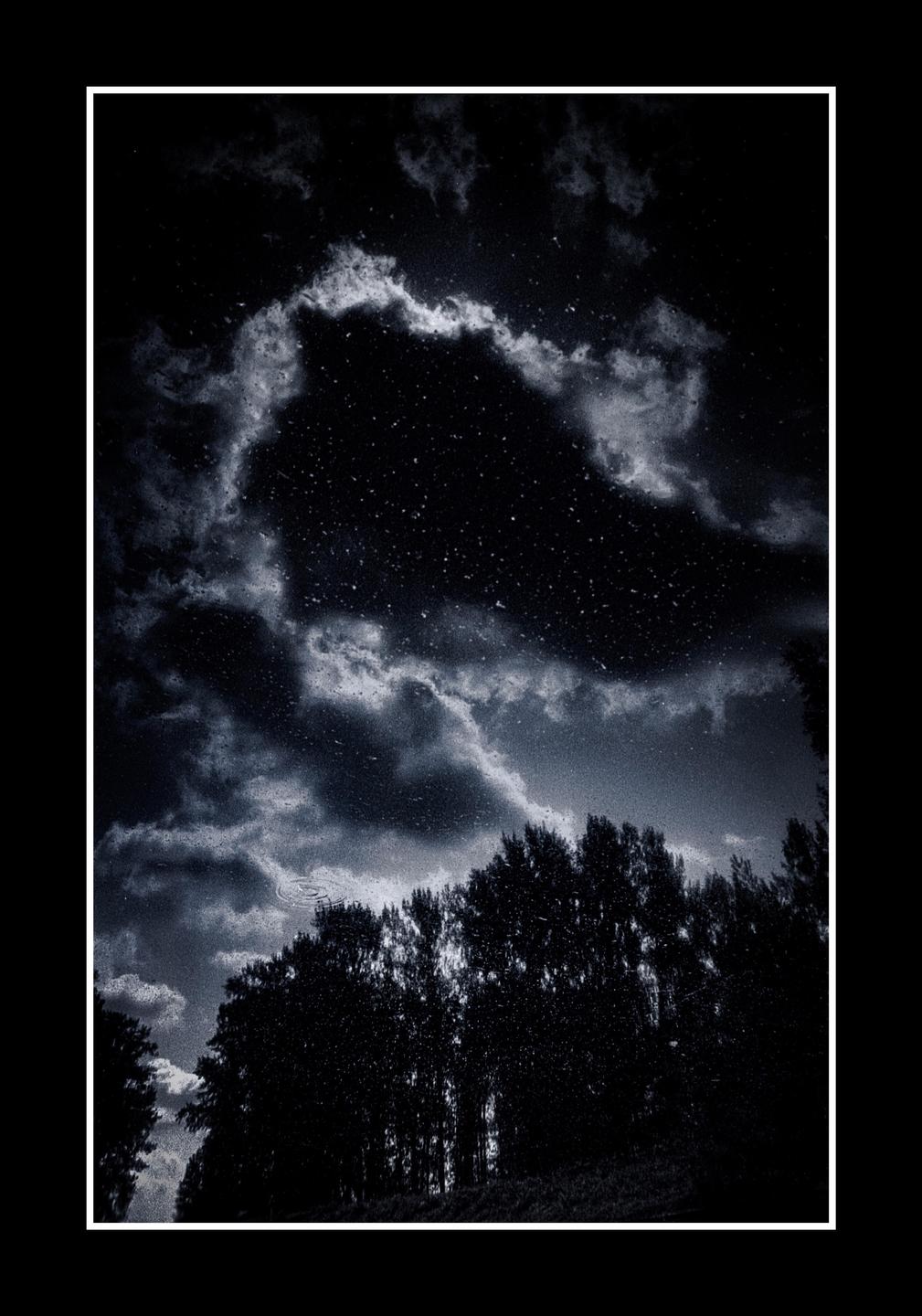 A dark sky with clouds and many small white specks is reflected in water with trees along the horizon.