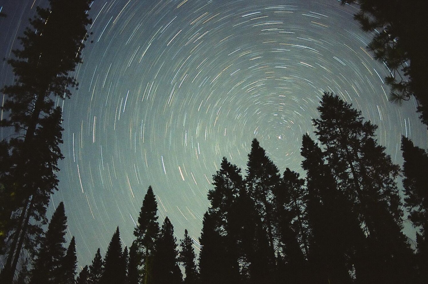 Star trails are visible in the night sky above a forest.