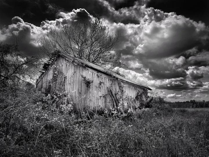 An old wooden chicken coop stands in a field under a dramatic cloudy sky.