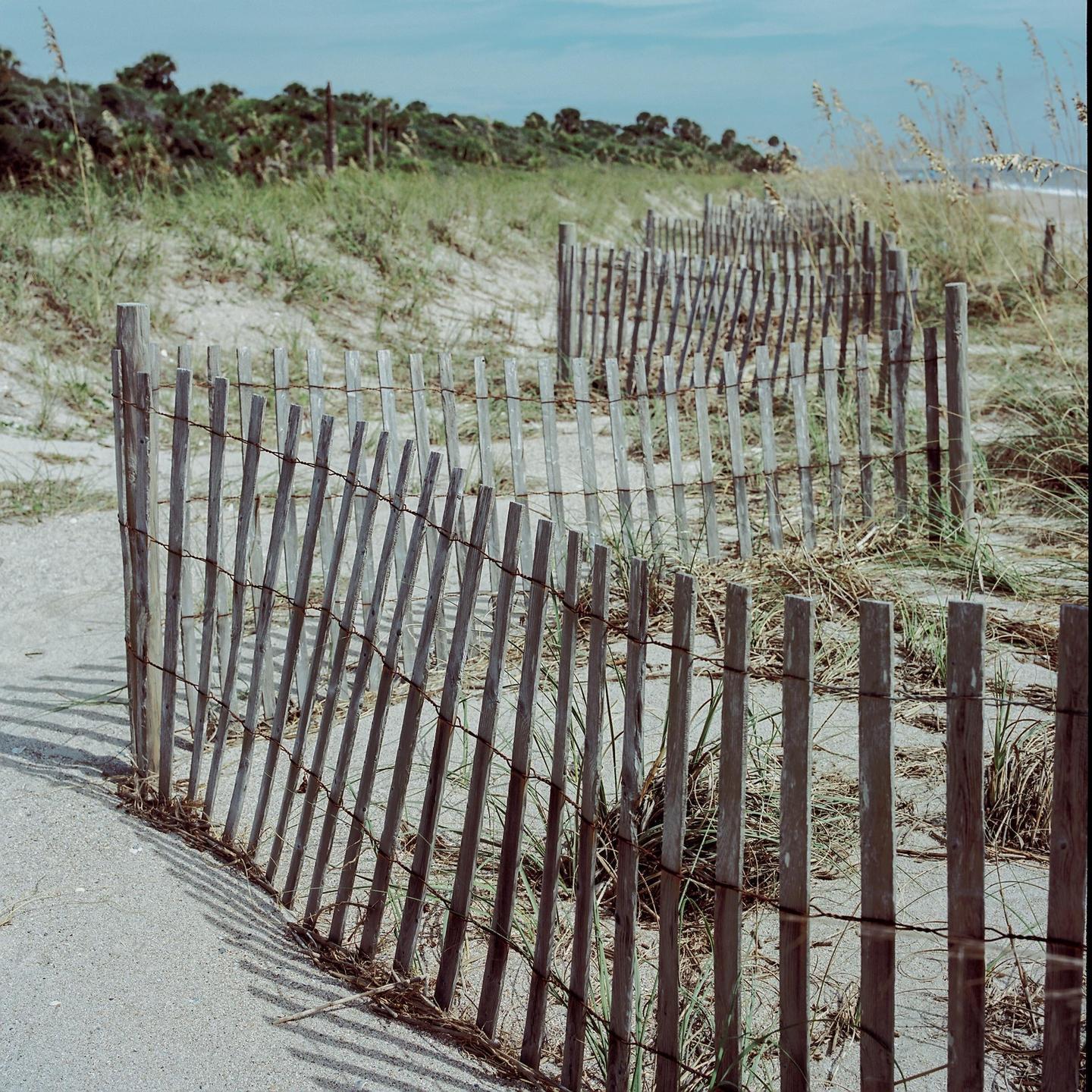 A wooden fence runs along a sandy path next to a beach with tall grass and palm trees.