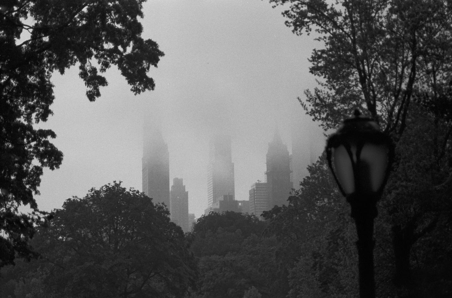 A street lamp and trees frame a view of foggy skyscrapers in the distance.